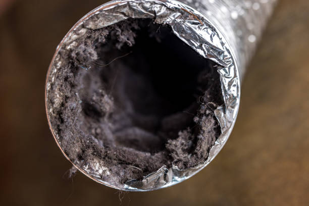 Best Air Duct Sanitizing Services  in Towson, MD