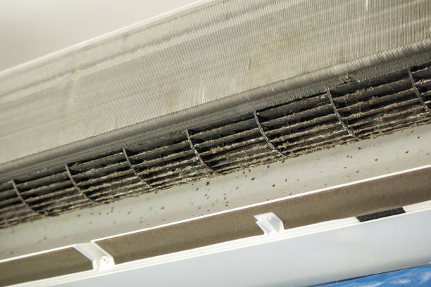 Best Local Air Duct Cleaning Services  in Towson, MD